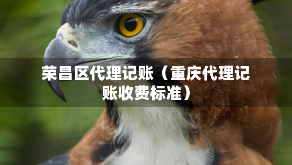 荣昌区代理记账（重庆代理记账收费标准）