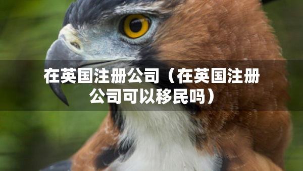 在英国注册公司（在英国注册公司可以移民吗）