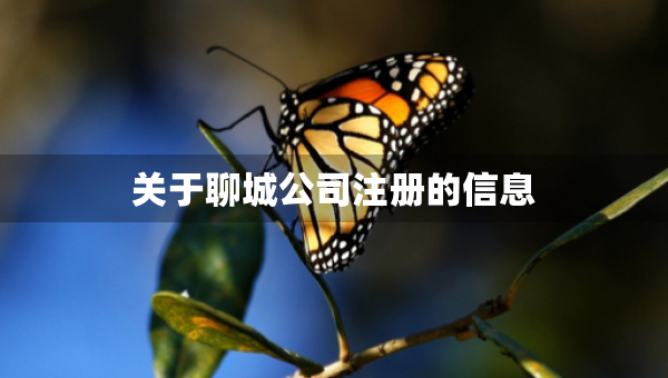 关于聊城公司注册的信息
