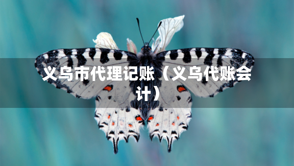 义乌市代理记账（义乌代账会计）