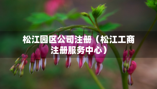 松江园区公司注册（松江工商注册服务中心）