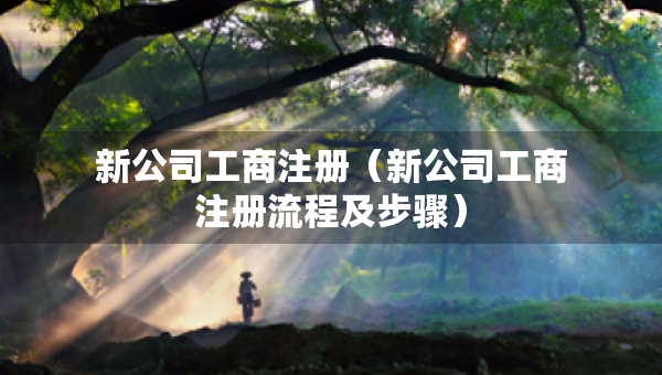 新公司工商注册（新公司工商注册流程及步骤）
