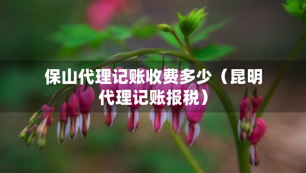 保山代理记账收费多少（昆明代理记账报税）