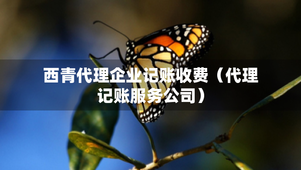 西青代理企业记账收费（代理记账服务公司）