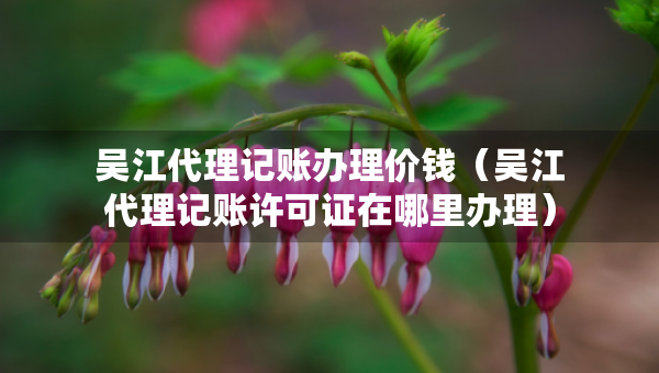 吴江代理记账办理价钱（吴江代理记账许可证在哪里办理）