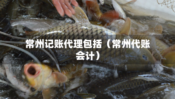 常州记账代理包括（常州代账会计）