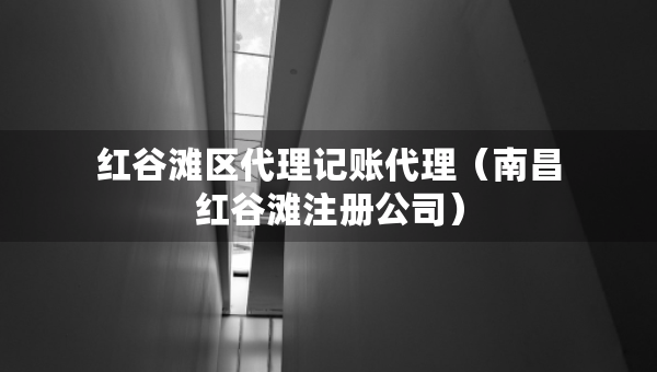红谷滩区代理记账代理（南昌红谷滩注册公司）