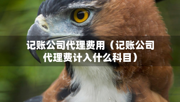 记账公司代理费用（记账公司代理费计入什么科目）