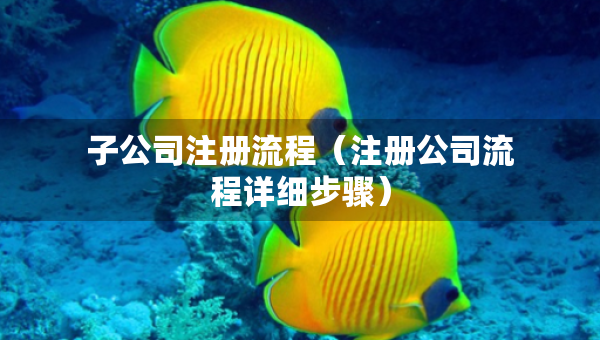 子公司注册流程（注册公司流程详细步骤）