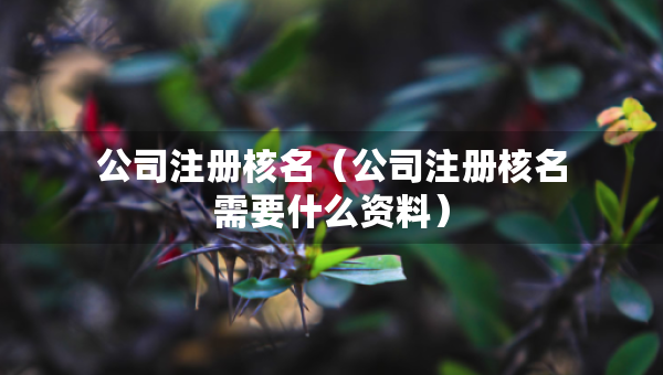 公司注册核名（公司注册核名需要什么资料）