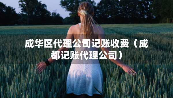 成华区代理公司记账收费（成都记账代理公司）