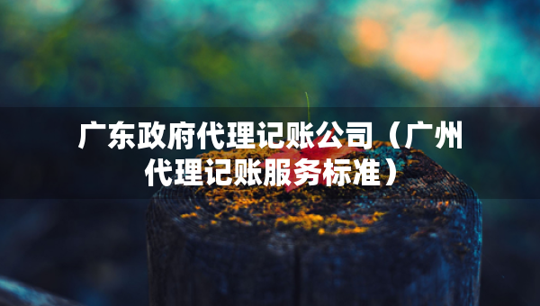 广东政府代理记账公司（广州代理记账服务标准）