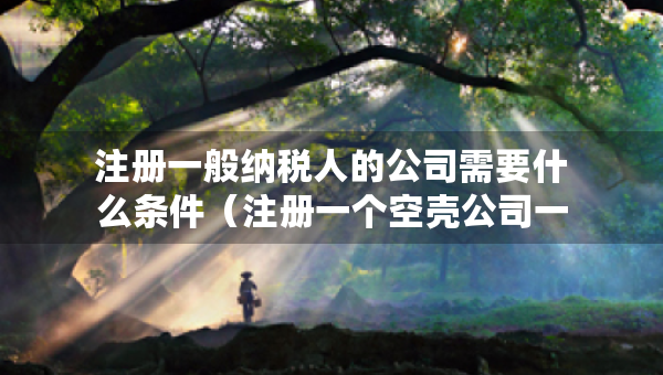 注册一般纳税人的公司需要什么条件（注册一个空壳公司一年交多少费用）