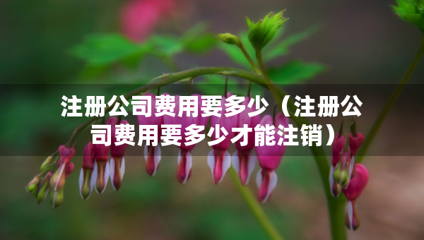 注册公司费用要多少（注册公司费用要多少才能注销）