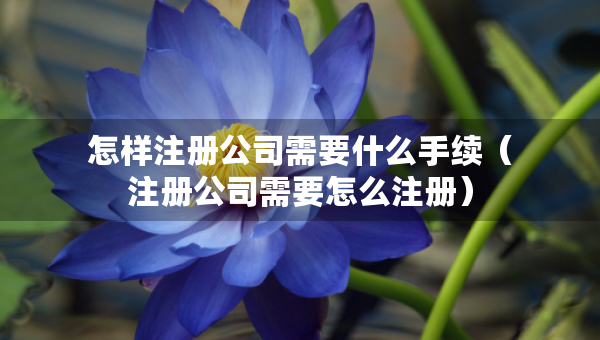怎样注册公司需要什么手续（注册公司需要怎么注册）