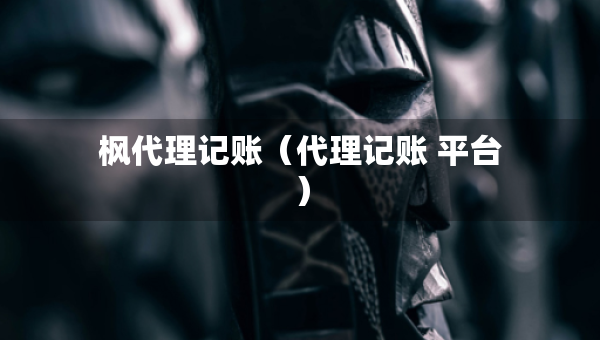 枫代理记账（代理记账 平台）