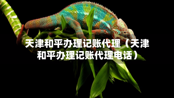 天津和平办理记账代理（天津和平办理记账代理电话）