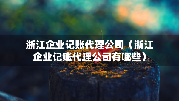 浙江企业记账代理公司（浙江企业记账代理公司有哪些）