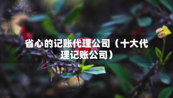 省心的记账代理公司（十大代理记账公司）