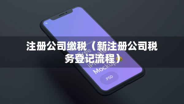 注册公司缴税（新注册公司税务登记流程）