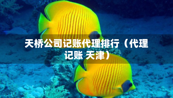 天桥公司记账代理排行（代理记账 天津）