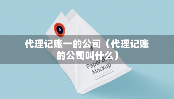 代理记账一的公司（代理记账的公司叫什么）