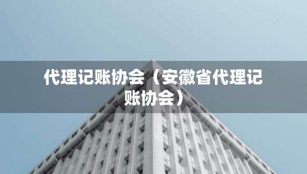 代理记账协会（安徽省代理记账协会）