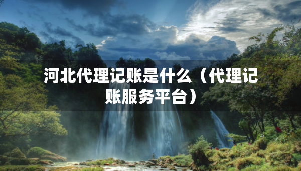 河北代理记账是什么（代理记账服务平台）