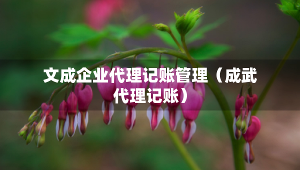 文成企业代理记账管理（成武代理记账）