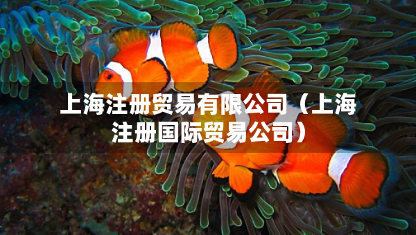 上海注册贸易有限公司（上海注册国际贸易公司）