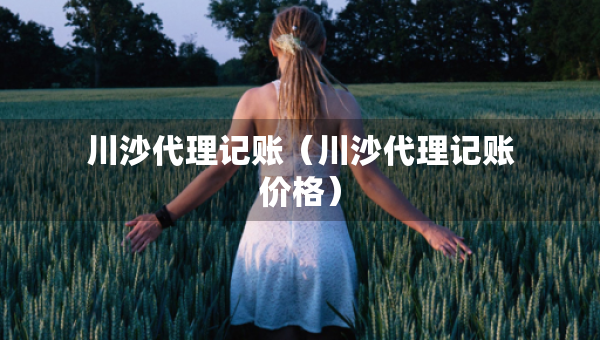川沙代理记账（川沙代理记账价格）