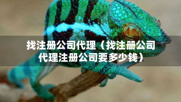 找注册公司代理（找注册公司代理注册公司要多少钱）