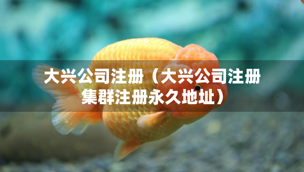 大兴公司注册（大兴公司注册集群注册永久地址）