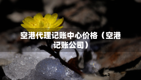空港代理记账中心价格（空港记账公司）