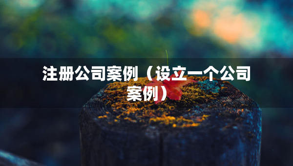 注册公司案例（设立一个公司案例）
