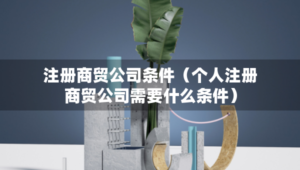 注册商贸公司条件（个人注册商贸公司需要什么条件）
