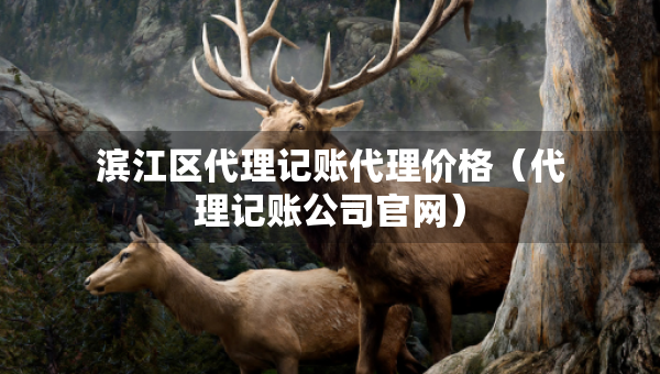 滨江区代理记账代理价格（代理记账公司官网）
