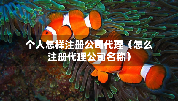个人怎样注册公司代理（怎么注册代理公司名称）