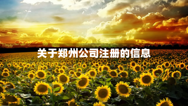 关于郑州公司注册的信息