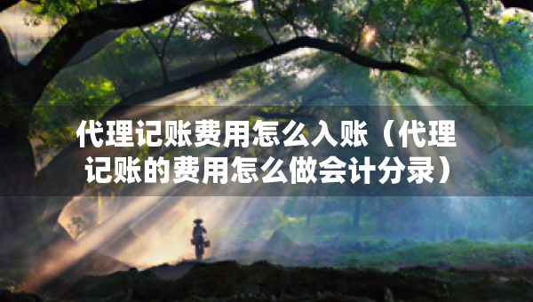代理记账费用怎么入账（代理记账的费用怎么做会计分录）