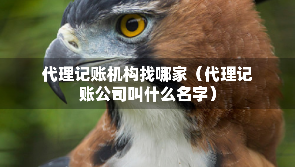 代理记账机构找哪家（代理记账公司叫什么名字）