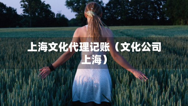 上海文化代理记账（文化公司上海）