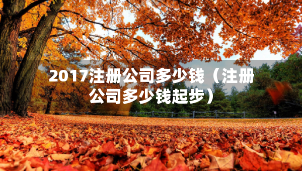 2017注册公司多少钱（注册公司多少钱起步）