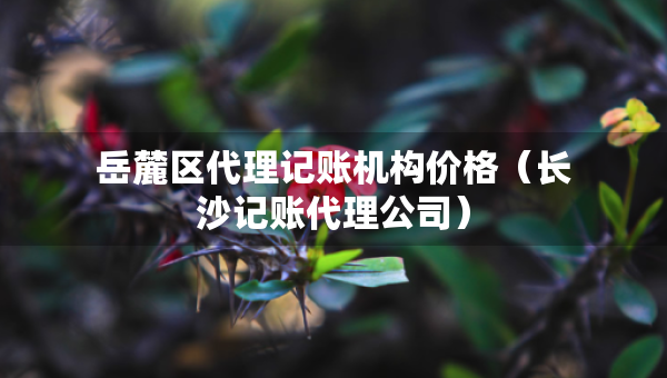 岳麓区代理记账机构价格（长沙记账代理公司）