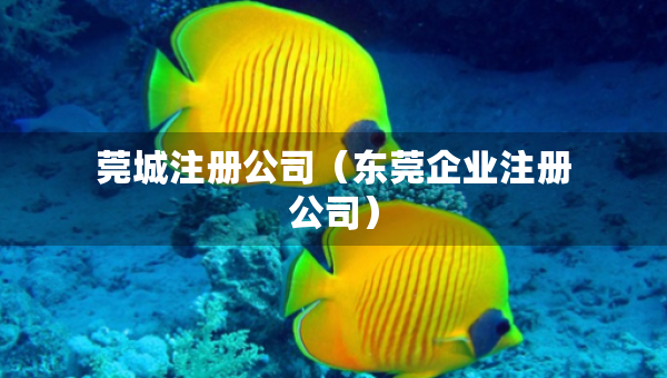 莞城注册公司（东莞企业注册公司）