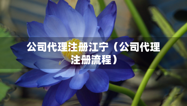 公司代理注册江宁（公司代理注册流程）