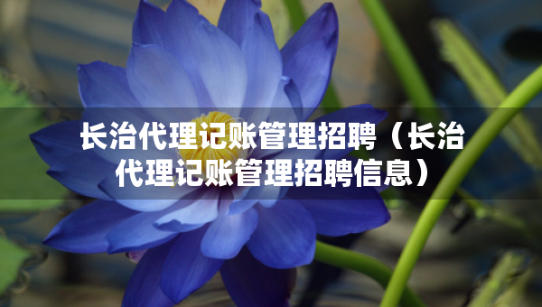 长治代理记账管理招聘（长治代理记账管理招聘信息）