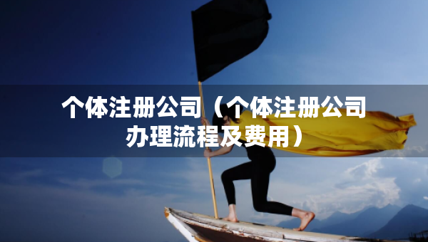 个体注册公司（个体注册公司办理流程及费用）