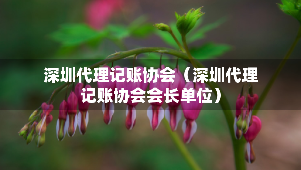 深圳代理记账协会（深圳代理记账协会会长单位）