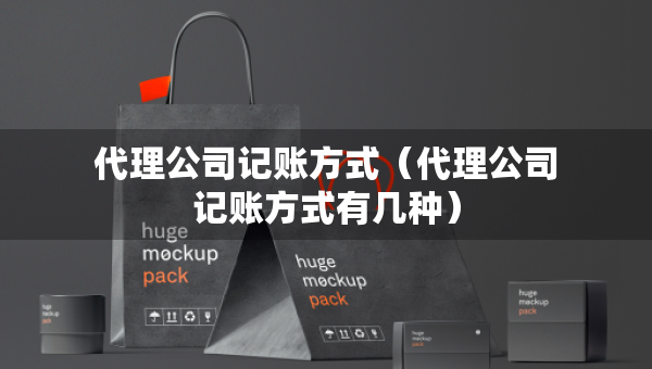 代理公司记账方式（代理公司记账方式有几种）